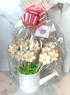 BakesyKit Mother's Day Flowers Cookie Kit (Baked Cookies) - Flowerbake by Angela